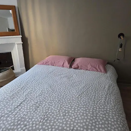 Maison Bézine Centre Ville, Jardin, Sauna Сasa de vacaciones *